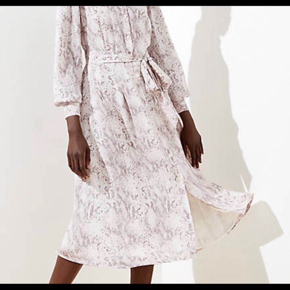 Petite Snake Tie Waist Midi Shirtdress​​​